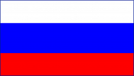 Пушистый овальный ковер флаг России